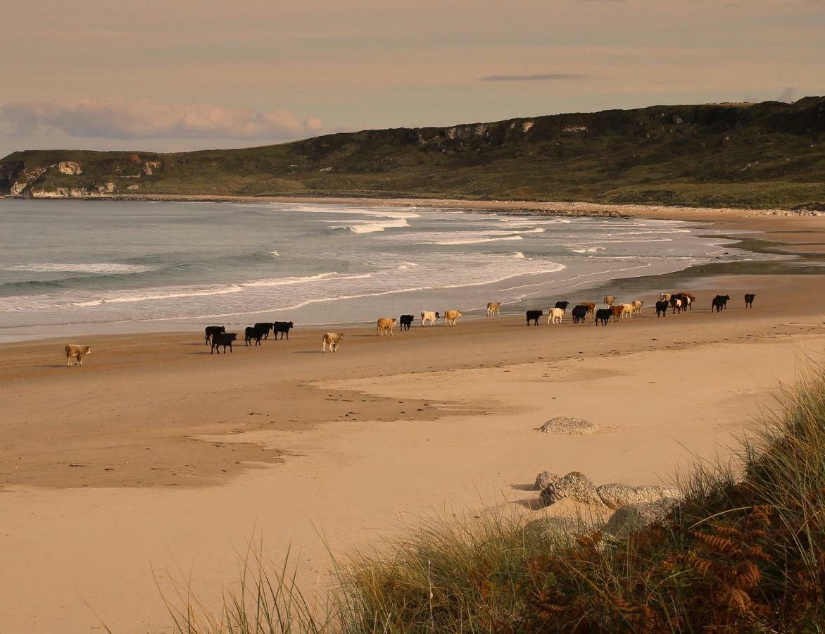Glen Haven Bed And Breakfast Ballycastle Esterno foto